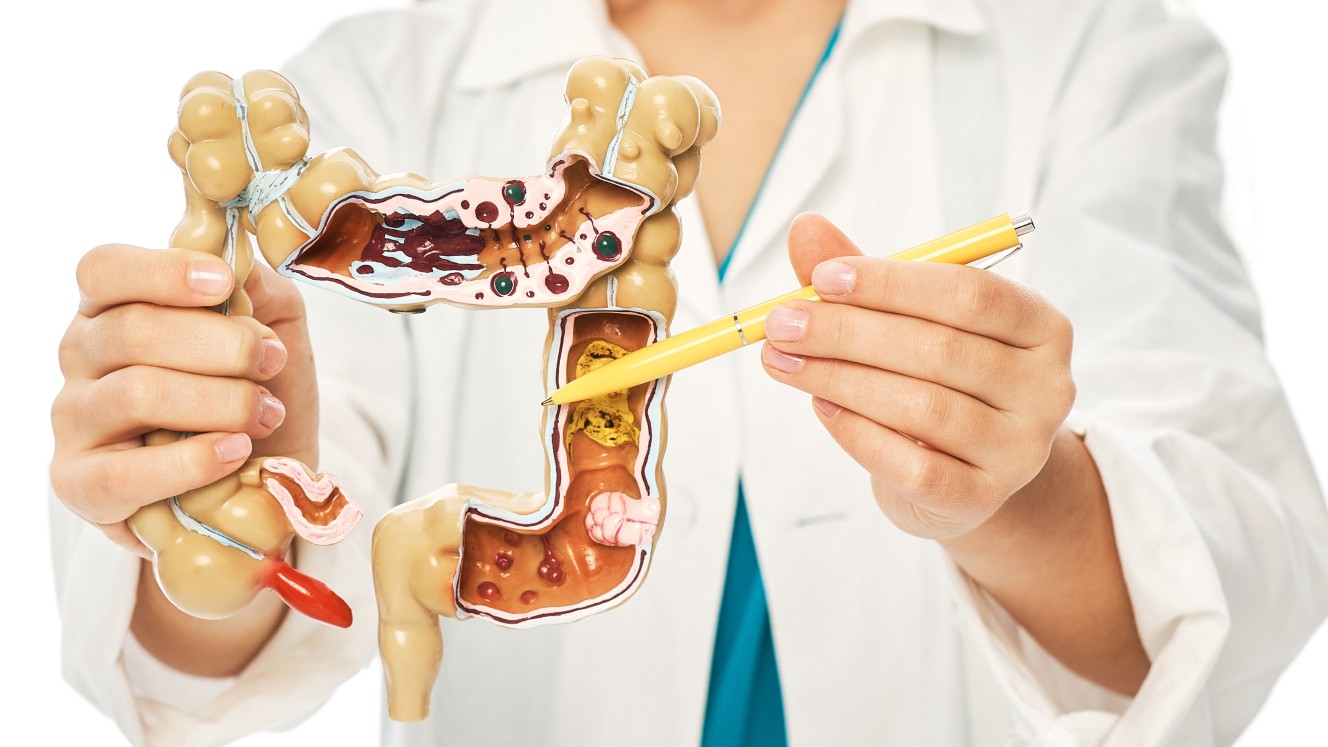 gut health