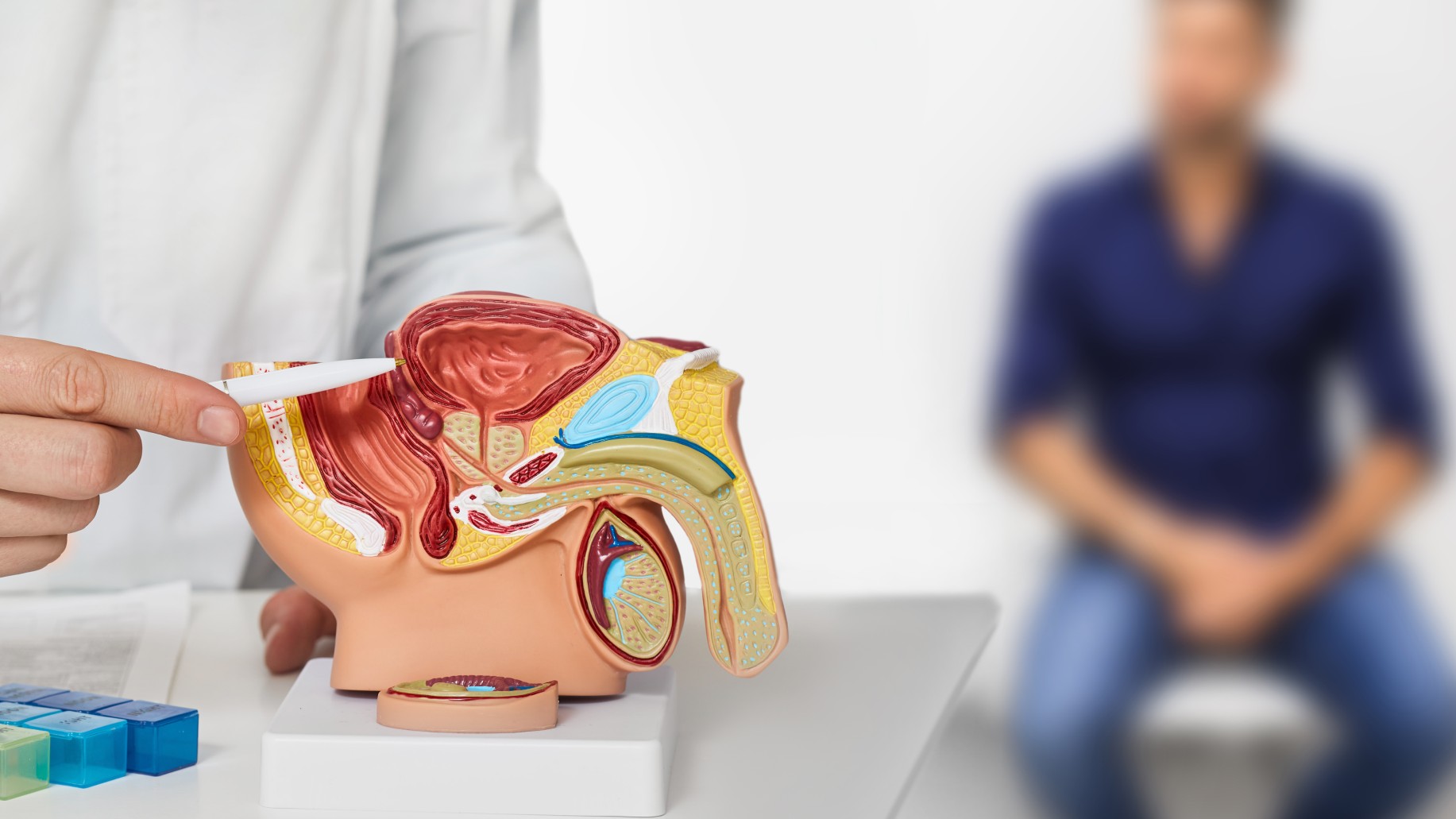 Improve Blood Flow to the Penis